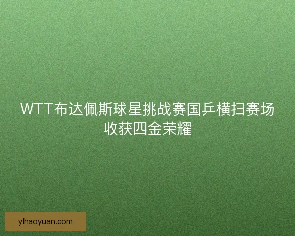 WTT布达佩斯球星挑战赛国乒横扫赛场收获四金荣耀