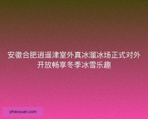 安徽合肥逍遥津室外真冰溜冰场正式对外开放畅享冬季冰雪乐趣