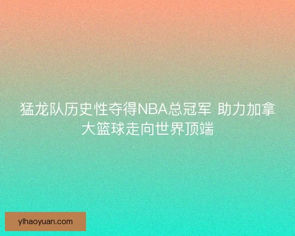 猛龙队历史性夺得NBA总冠军 助力加拿大篮球走向世界顶端 猛龙队历史性夺得NBA总冠军 助力加拿大篮球走向世界顶端